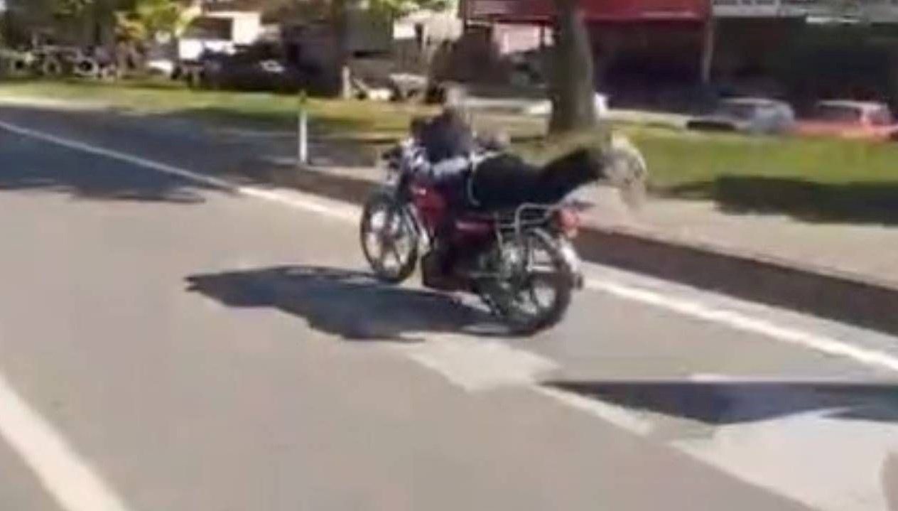 akrobatik hareketler pahaliya patladi 42 bin tl ceza QOT71b1p