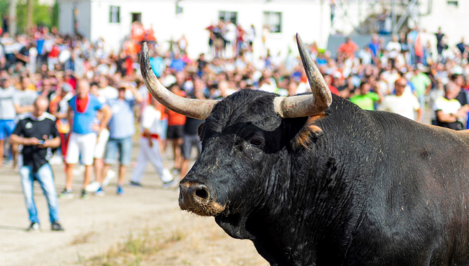 ispanyada kizgin boga park halindeki araci parcaldi sUvyhKj9