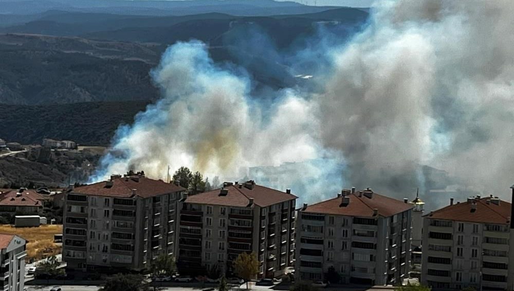 Salça için Bilecik’i yaktı!