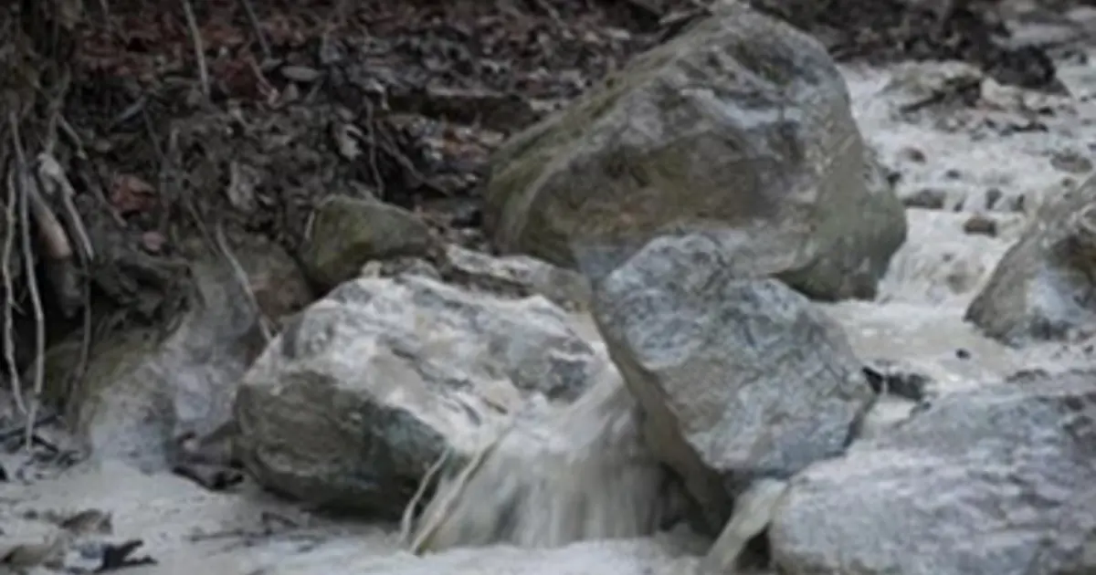 Bursa’da çevre felaketi