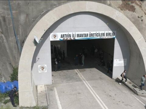 Artvin’de Kullanılmayan Tünel Mantar Üretim Merkezi Oldu