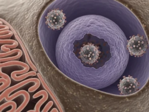 HPV Aşısı Hakkında Bilmeniz Gerekenler
